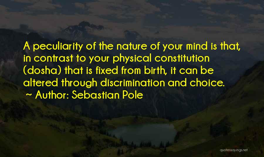 Altered Mind Quotes By Sebastian Pole