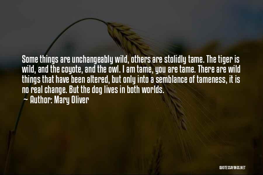 Altered Quotes By Mary Oliver