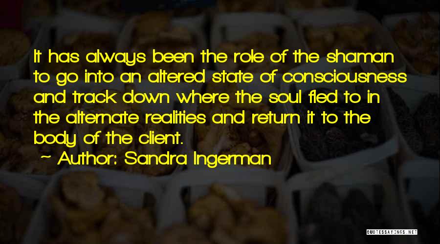 Altered Reality Quotes By Sandra Ingerman