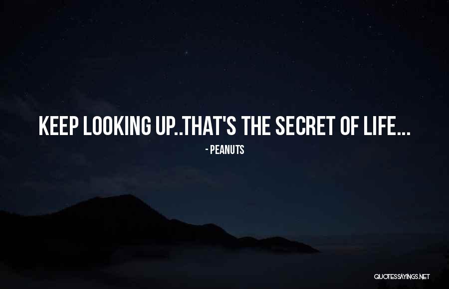 Altimax Quotes By Peanuts Altimax Quotes By Peanuts