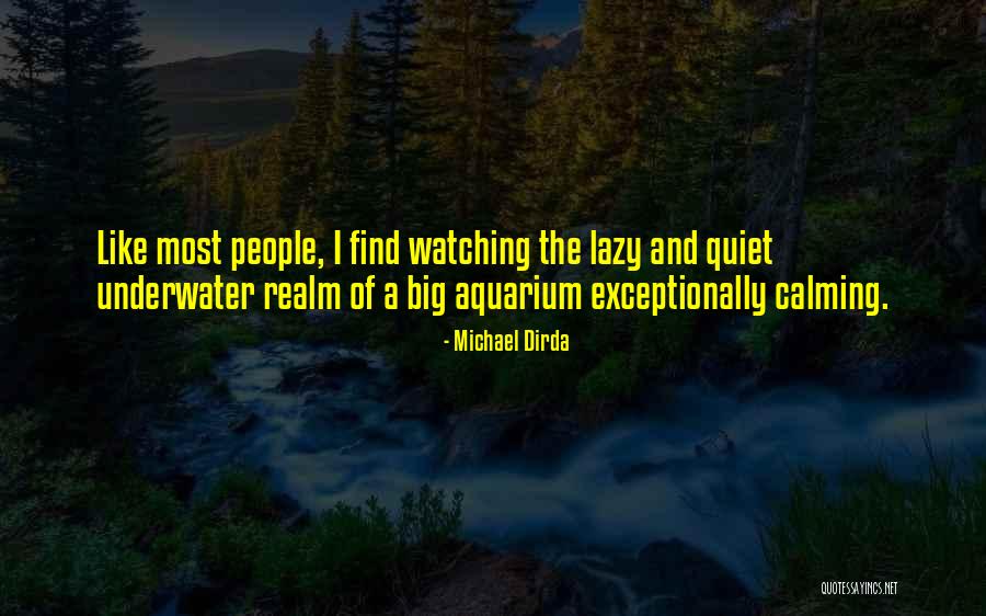 Altimetry Hidden Quotes By Michael Dirda Altimetry Hidden Quotes By Michael Dirda