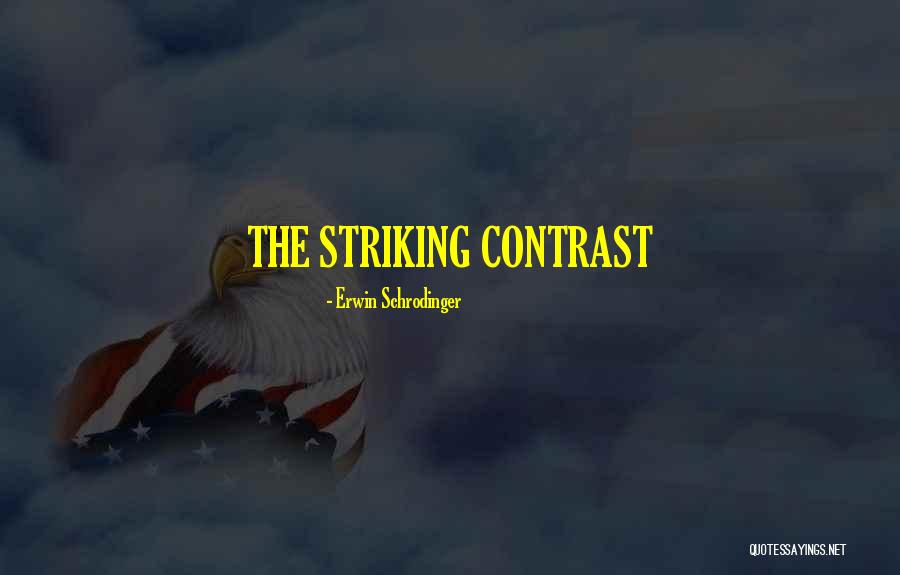 Altissimi Cantus Quotes By Erwin Schrodinger Altissimi Cantus Quotes By Erwin Schrodinger