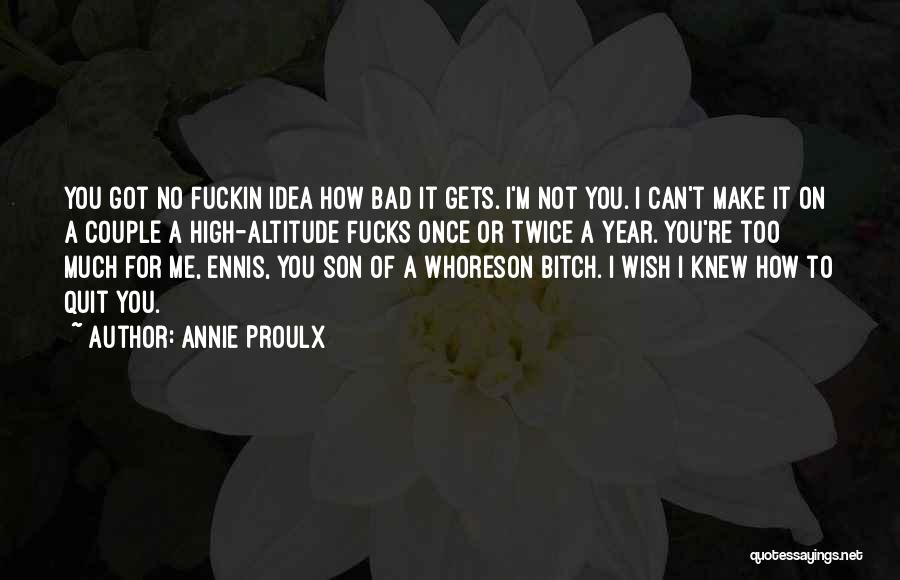 Altitude Quotes By Annie Proulx