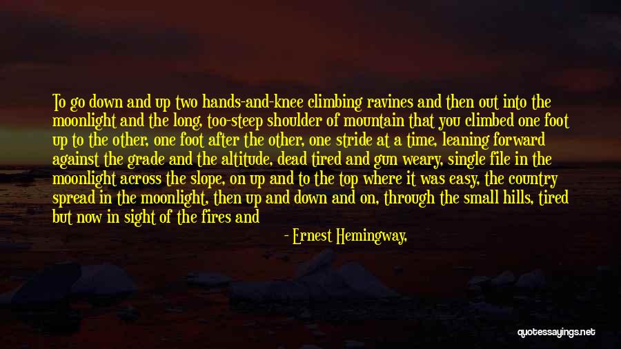 Altitude Quotes By Ernest Hemingway,