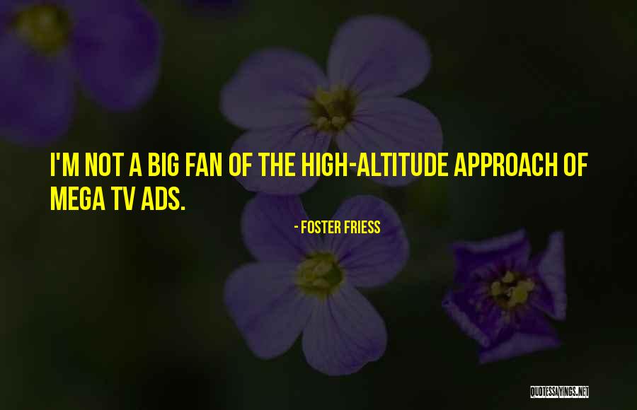 Altitude Quotes By Foster Friess