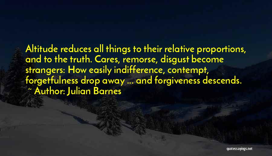Altitude Quotes By Julian Barnes