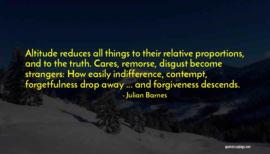 Altitude Quotes By Julian Barnes Altitude Quotes By Julian Barnes