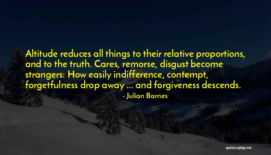 Altitude Quotes By Julian Barnes