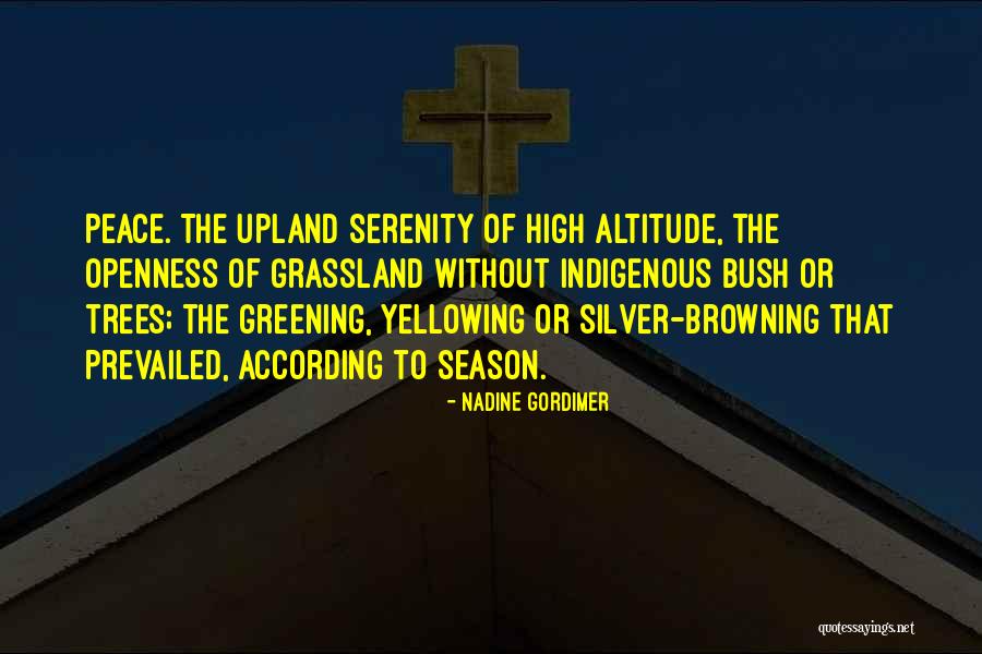 Altitude Quotes By Nadine Gordimer Altitude Quotes By Nadine Gordimer