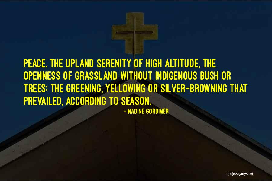 Altitude Quotes By Nadine Gordimer