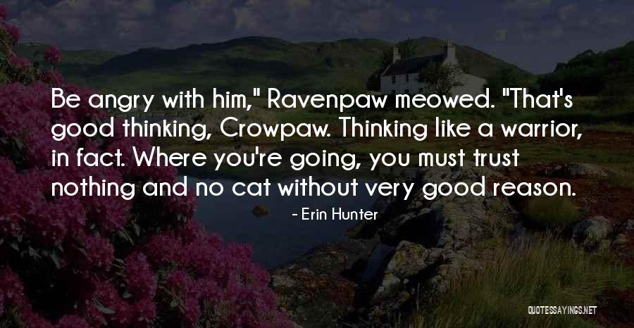 Altitudes Of A Triangle Quotes By Erin Hunter Altitudes Of A Triangle Quotes By Erin Hunter