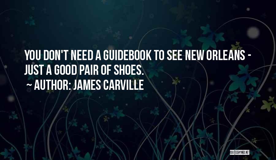 Alto Saotome Quotes By James Carville