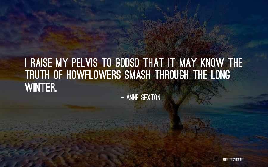 Alto Vino San Francisco Quotes By Anne Sexton Alto Vino San Francisco Quotes By Anne Sexton
