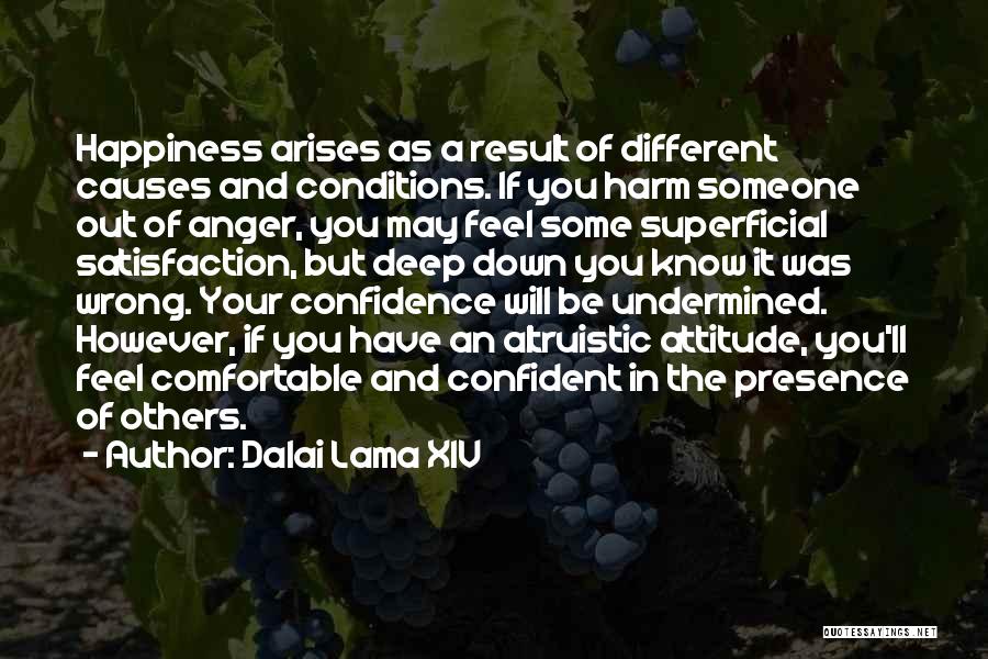 Altruistic Quotes By Dalai Lama XIV