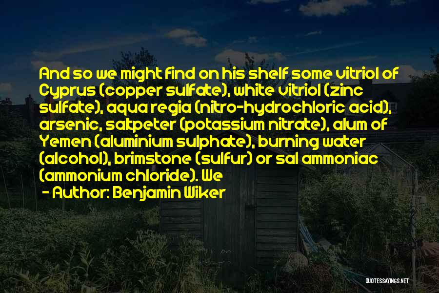 Aluminium Quotes By Benjamin Wiker