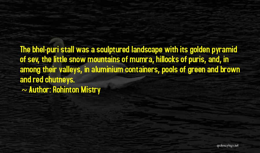 Aluminium Quotes By Rohinton Mistry