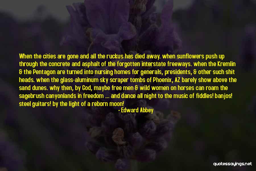 Aluminum Quotes By Edward Abbey