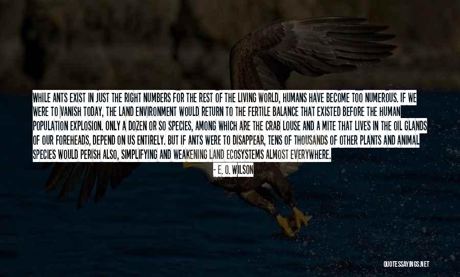 Alverta Mckenzie Quotes By E. O. Wilson Alverta Mckenzie Quotes By E. O. Wilson