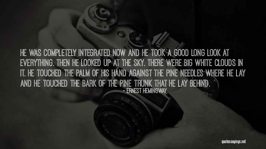 Alviani Viaggi Quotes By Ernest Hemingway, Alviani Viaggi Quotes By Ernest Hemingway,