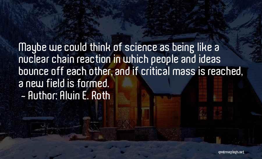 Alvin E. Roth Quotes 663520