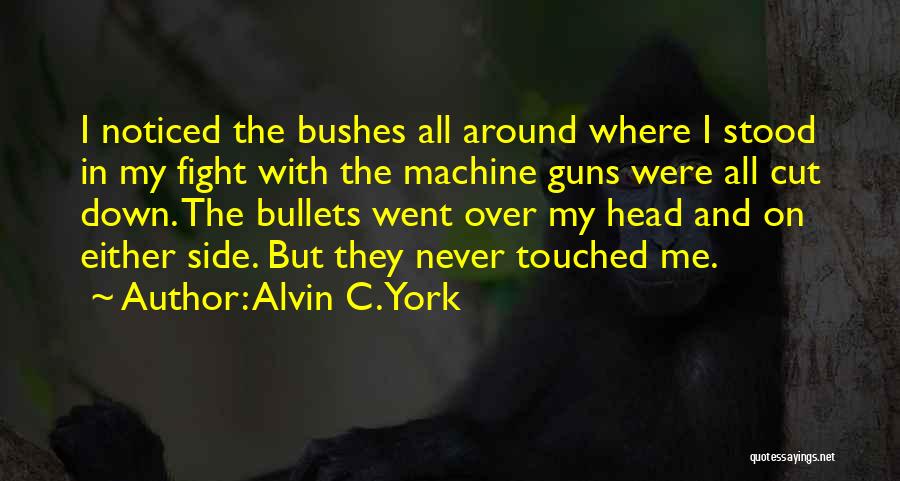 Alvin Quotes By Alvin C. York