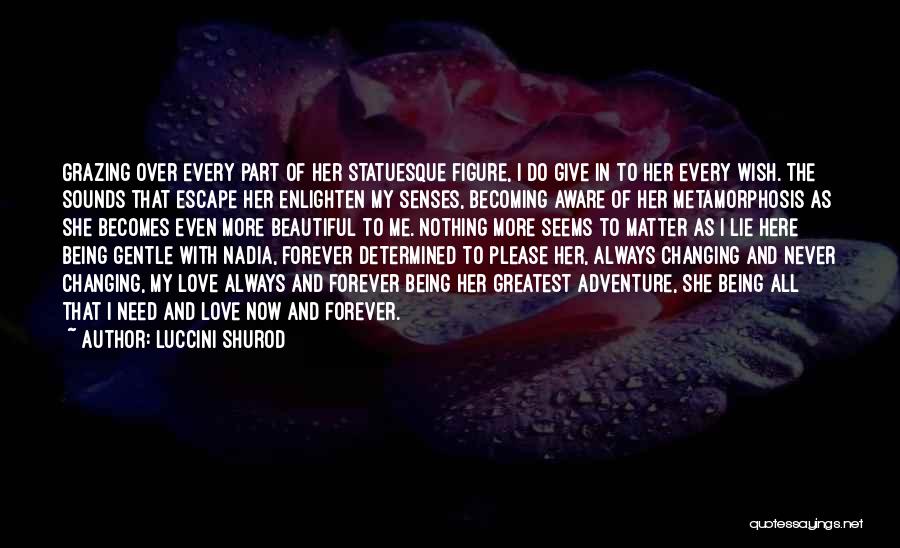 Always And Forever Quotes By Luccini Shurod