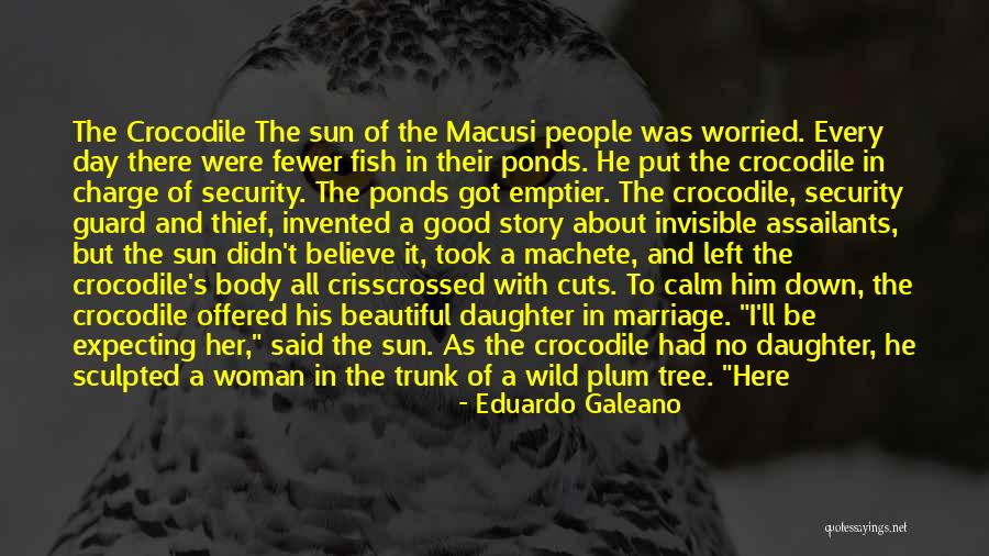 Always Be Calm Quotes By Eduardo Galeano Always Be Calm Quotes By Eduardo Galeano
