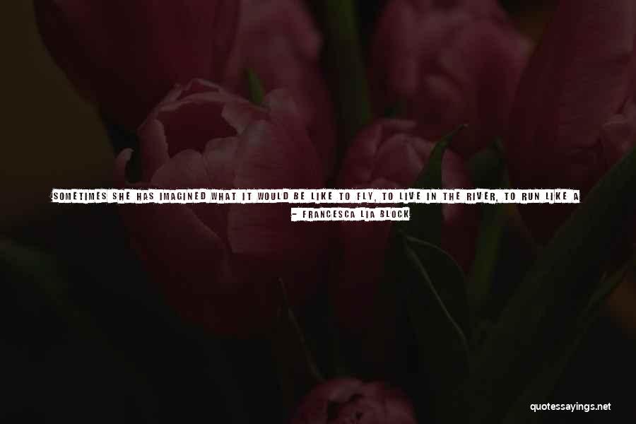 Always Be Calm Quotes By Francesca Lia Block Always Be Calm Quotes By Francesca Lia Block
