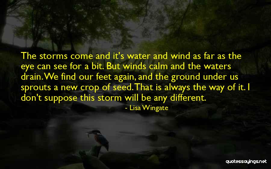 Always Be Calm Quotes By Lisa Wingate Always Be Calm Quotes By Lisa Wingate