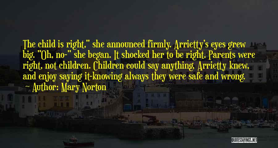 Always Be Safe Quotes By Mary Norton