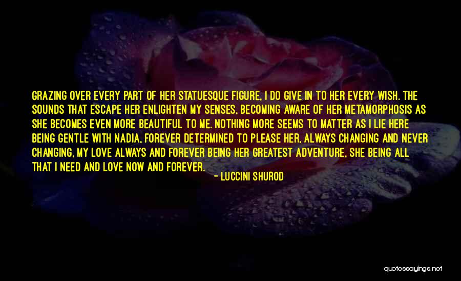 Always Being Here Quotes By Luccini Shurod