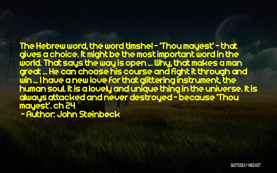 Always Choose Love Quotes By John Steinbeck