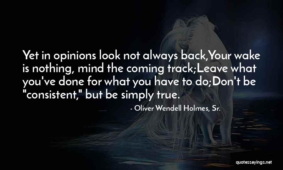 Always Coming Back To You Quotes By Oliver Wendell Holmes, Sr.