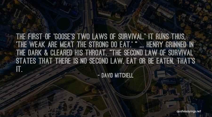 Always Encourage Inclusiveness Quotes By David Mitchell Always Encourage Inclusiveness Quotes By David Mitchell