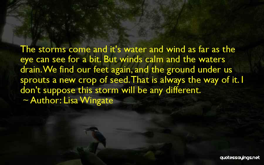 Always Feet On The Ground Quotes By Lisa Wingate