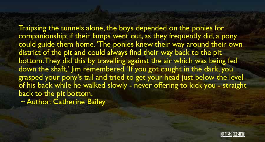 Always Find Your Way Back Quotes By Catherine Bailey