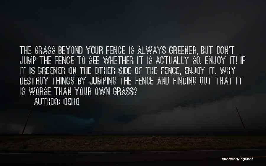 Always Finding Each Other Quotes By Osho