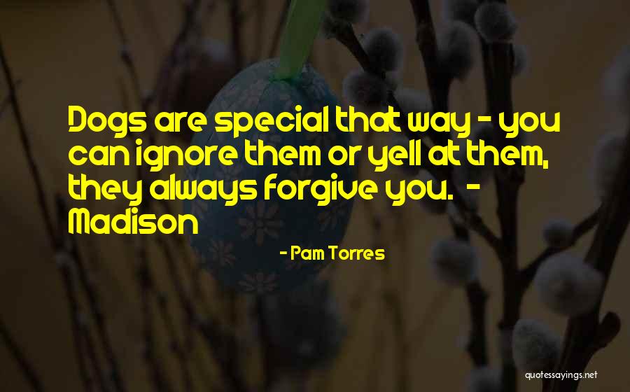 Always Forgive Them Quotes By Pam Torres Always Forgive Them Quotes By Pam Torres