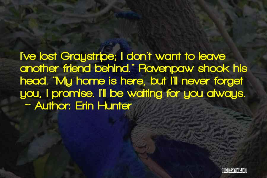 Always Here For You Friend Quotes By Erin Hunter