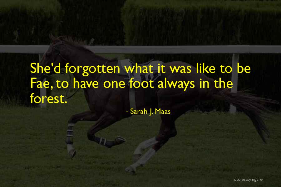 Always In The Shadows Quotes By Sarah J. Maas Always In The Shadows Quotes By Sarah J. Maas