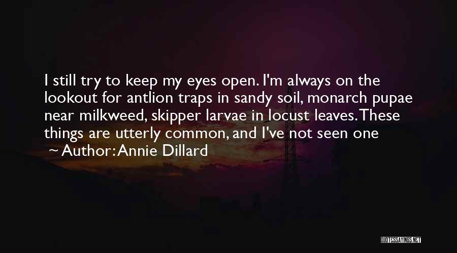 Always Keep Your Eyes Open Quotes By Annie Dillard