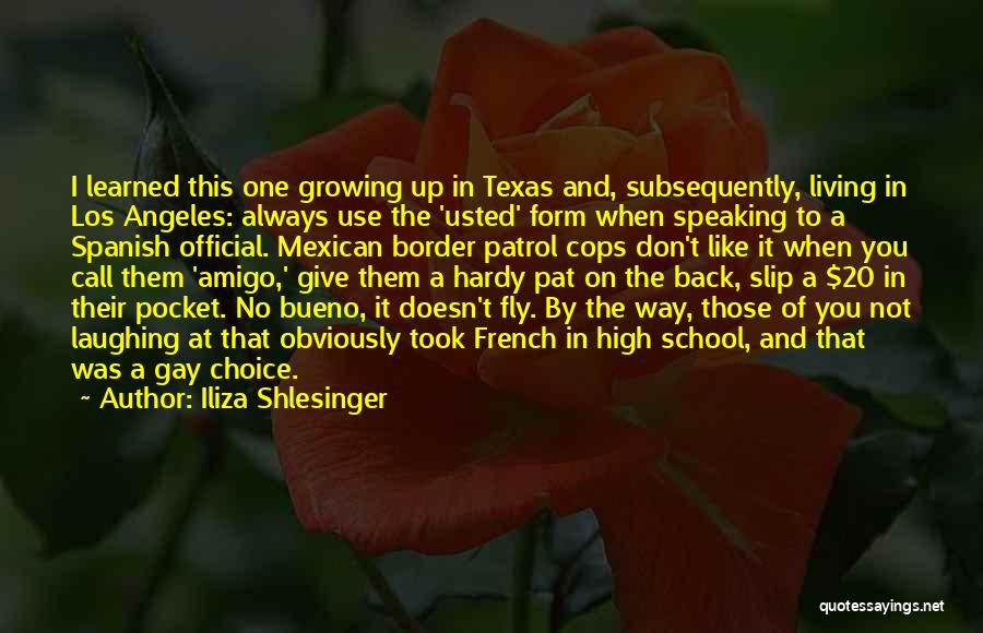 Always Laughing Quotes By Iliza Shlesinger