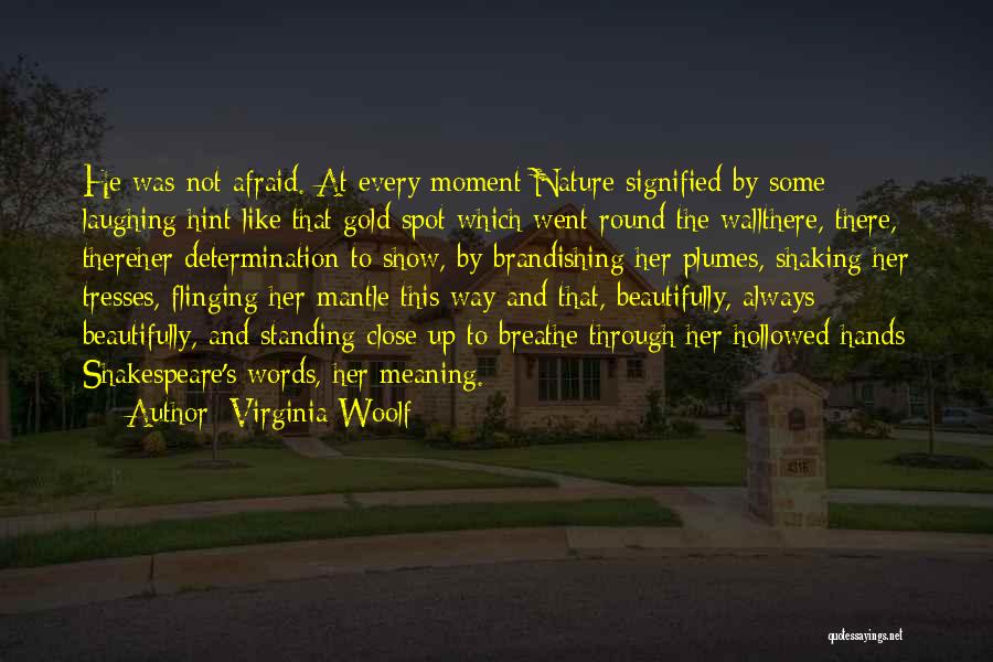 Always Laughing Quotes By Virginia Woolf