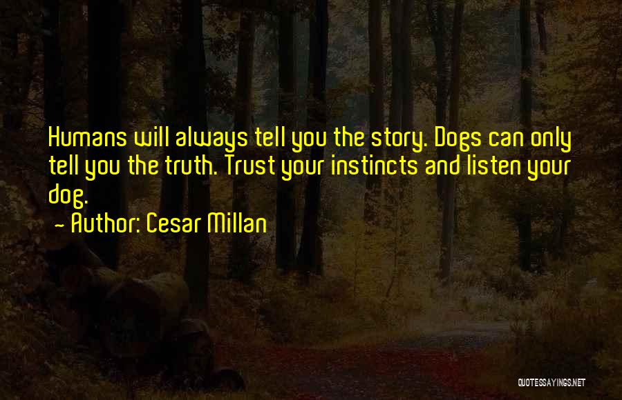 Always Listen To Your Instincts Quotes By Cesar Millan