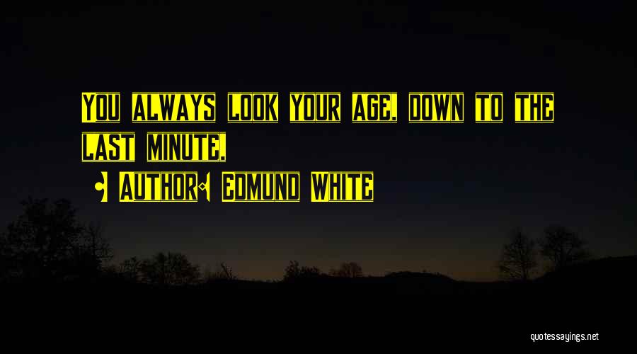 Always Look Down Quotes By Edmund White