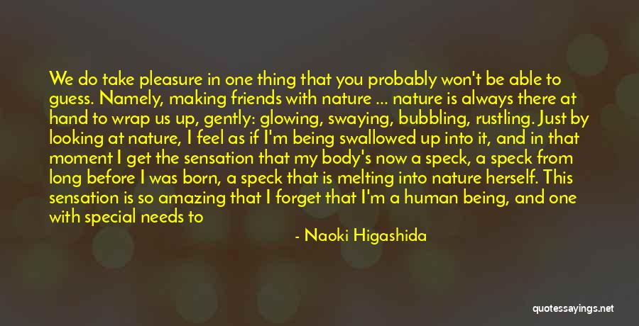 Always Looking Your Best Quotes By Naoki Higashida