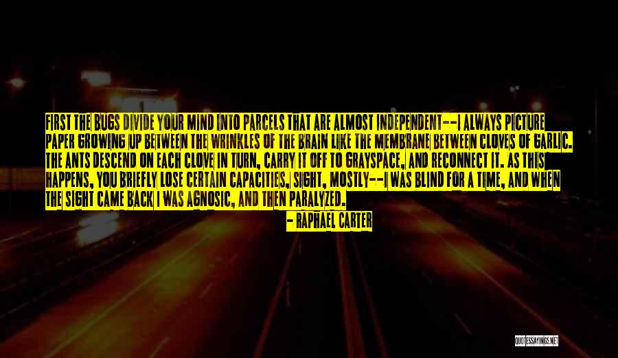 Always On My Mind Picture Quotes By Raphael Carter