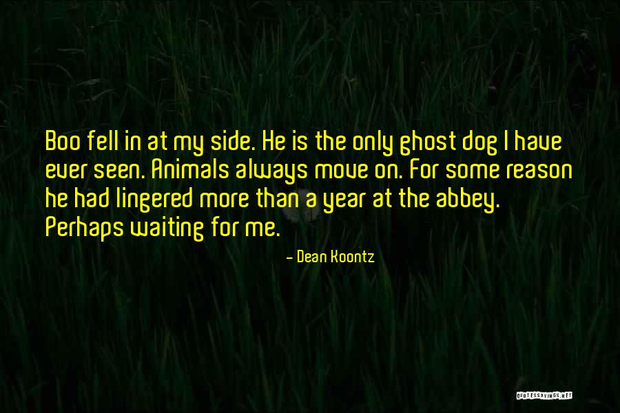 Always On My Side Quotes By Dean Koontz