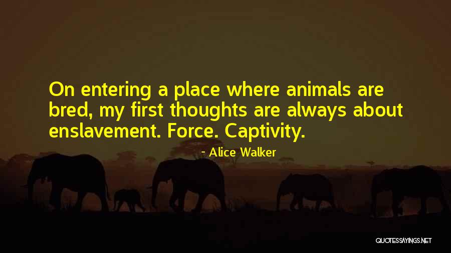 Always On My Thoughts Quotes By Alice Walker Always On My Thoughts Quotes By Alice Walker