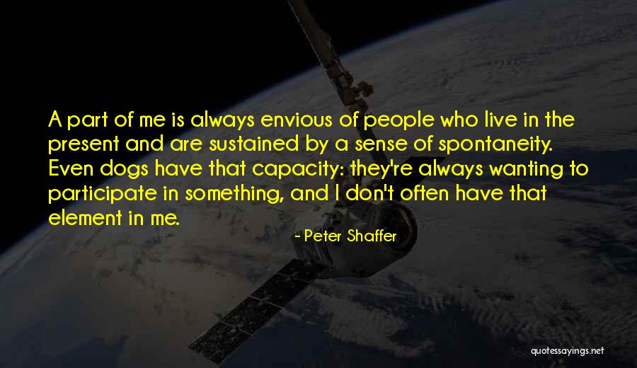 Always Participate Quotes By Peter Shaffer Always Participate Quotes By Peter Shaffer